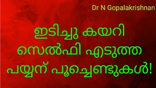 6 PM+8744+ഇടിച്ചു കയറി സെൽഫി എടുത്ത പയ്യന് പൂച്ചെണ്ടുകൾ +25+09+19