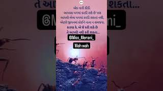 એટલે જીવન માં કોઈને નાના ન સમજવા.. 🥀#life #whatsappstatus @Miss_Merani_ #subscribe #shortvideo