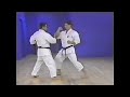 goju ryu kata gekisai dai ichi renzoku bunkai