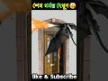 ￼মেয়ে টা একটুর জন্য বেছে গেল 🙂😨😁 #shortvideo #banglacratoon #feed #funny #cartoon #facts #shorts