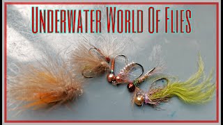 Underwater World Of Flies