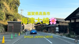 【4k ドライブ】滋賀県高島市海津大崎の桜と風車街道の満開の桜 230405