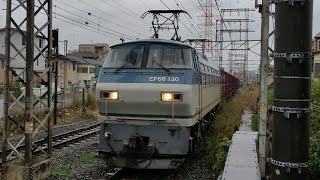 [スーパーライナー１時間近く遅延] 11月21日小田栄駅 吹田A11運用 66レ EF66 130