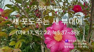 주일예배말씀(2022.02.13)/새포도주는 새부대에/말씀설교/오미영목사/제주포도나무교회