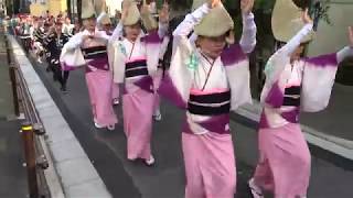 江戸歌舞伎連／清水稲荷神社西側通り流し／阿波踊りコン太祭り（板橋イナリ通り商店街）2017