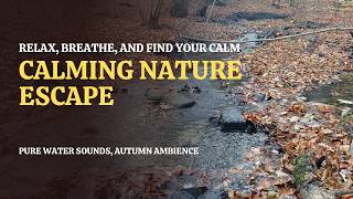 Autumn Stream Sounds | Green Noise for Deep Relaxation and Focus in Nature