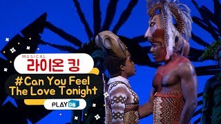 뮤지컬 '라이온 킹' 프레스콜 - Can You Feel The Love Tonight