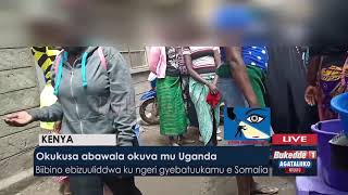 Okukusa abawala okuva mu Uganda.