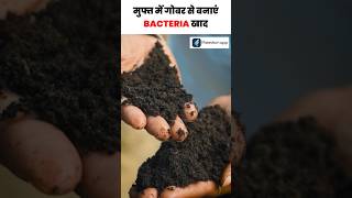 सिर्फ 20 दिन में गोबर बनेगा महंगी खाद - Cow Dung Bacteria Khad #shorts #organicfertilizer