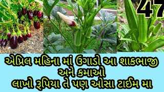 એપ્રિલ મહિના માં ઉગાડો આટલા શાકભાજી