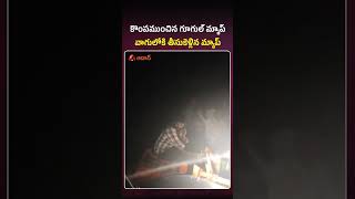 కొంపముంచిన గూగుల్ మ్యాప్ వాగులోకి తీసుకెళ్లిన మ్యాప్ #budamaneru #nagarkurnoolnews #shorts #ytshorts