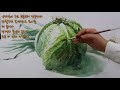 정물수채화 양배추와 대파 still watercolors cabbage and green onion