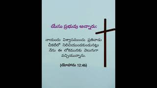 యేసు ప్రభువే జీవపు వెలుగు ఆయనను ఆయశ్రయించు వారు చీకటి బంధకములనుండి విడిపించబడతారు.