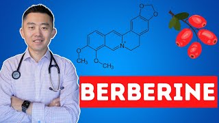 The Truth About Berberine | What you need to know