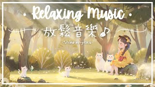 森林浴 | 安神癒癒放鬆音樂 - 心‧呼吸.. 🍀