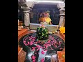 shri nageshwar jyotirlinga mahabhog aarti darshan श्री नागेश्वर ज्योतिर्लिंग महाभोग आरती दर्शन