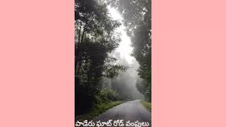 Paderu ghat road turnings