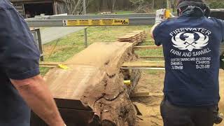 The Biggest Black Walnut Slabs On YouTube!