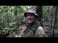 sika deer hunting new zealand the rut continues ep 3