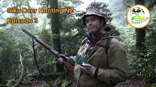 Sika Deer Hunting New Zealand (The Rut continues) EP 3