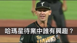 去年台鋼貢獻度最高的洋投卻被捨棄？哈瑪星待業中誰有興趣？