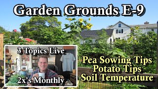 Garden Grounds E-9: Direct Sowing and Planting Peas, Potato Quick Tips,  Soil Temperature Again