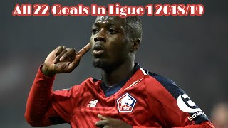 Nicolas Pepe All 22 Ligue 1 Goals of 2018/19 Season| Welcome To Arsenal🔴