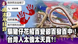 【柬埔寨詐騙】「騙豬仔」花招百變卻百發百中！台灣人太傻太天真？！ -【阿娟周末不打烊】獨播