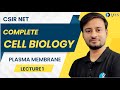 Complete Cell Biology For CSIR NET Life Science 2023 [Structure & Composition of Plasma Membrane]