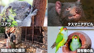 【パース動物園】オーストラリアに棲む動物たちをたくさん観察してきました！【コアラ・カンガルー・ワラビー・エミュー】