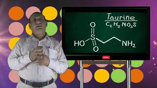 حقائق حول التورين taurine كمكمل غذائي