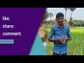 கற்பூர கரைசல் செய்முறை🌴 உங்கள் விவசாயி farming fertilizer