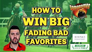 How To WIN BIG Fading BAD Favorites | Horse Racing Betting Tips