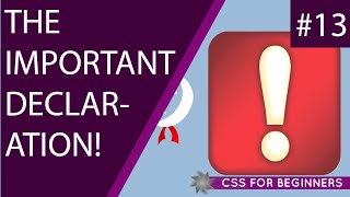 CSS Tutorial For Beginners 13 - The Important Declaration