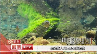 原觀點部落進行式第198集節目直播【泰雅族人與bunban的記憶】