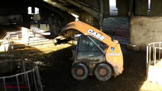 Feeding the Cows - with Skidsteer.