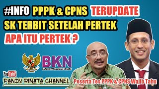 Apa Itu Pertek Dalam Penerbitan SK PPPK dan CPNS Oleh BKN ? | Info P3K dan CPNS Terbaru Hari Ini