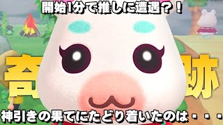 【あつ森】離島ガチャ 開始早々神引き連発の奇跡 【あつまれどうぶつの森】住民厳選離島ツアー