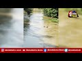 old man swept away in river bhubaneswar odisha shreekhetra news