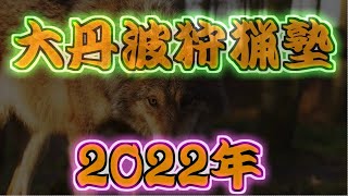 東京は奥多摩、青梅、八王子の狩猟サークル、グループです。大丹波狩猟塾といいます。