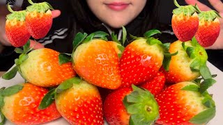 [SUB] 새콤달콤 싱싱한 딸기에 생크림 찍먹 리얼먹방 strawberry and whipped cream real mukbang