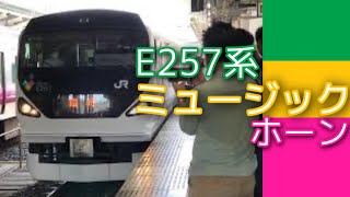 E257系 臨時列車 館山行 発車シーン【ミュージックホーンあり】