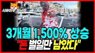 [시바이누 코인] 1,500% 3개월 안에 상승! 리플 시총을 넘길 것! 백만장자 대거 탄생 가능한 시바이누 코인!