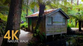 Alfred Nicholas Memorial Gardens | Cinematic Walking Tour in 4K