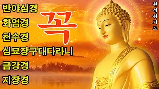 매일 1번 듣기만 하면 소원 성취! 건강, 부자, 성공, 풍요, 행복, 재물을 가져다주는 반야심경, 천수경, 금강경, 지장경, 신묘장구대다라니 🙏불교 힐링 음악