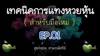 EP01 เทคนิคการแทงหวยหุ้น(สำหรับมือใหม่) | โปรดพิจารณาคำแนะนำใต้คลิป