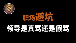 【职场避坑】领导骂人到底是真骂还是假骂