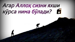 Агар Аллоҳ сизни яхши кўрса нима бўлади?