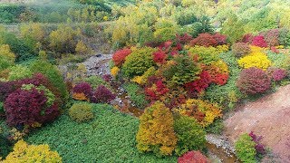 ドローン撮影 岩手県八幡平市 紅葉