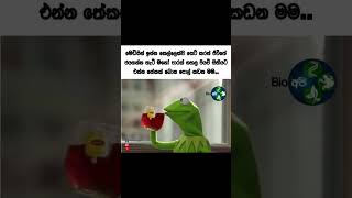 සබ්ස්ක්‍රයිබ් කරපල්ලා Best Meme collection #bukiyeathalpostsinhala #memes #bukiyerasakatha #jokes